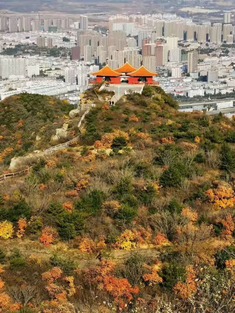 深秋时节,狮脑山的红叶总是惹人喜爱