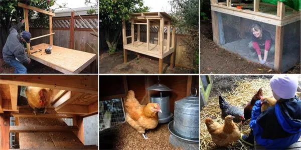 乡村鸡舍怎么建20款经典乡村庭院鸡舍设计方案美观与实用同在