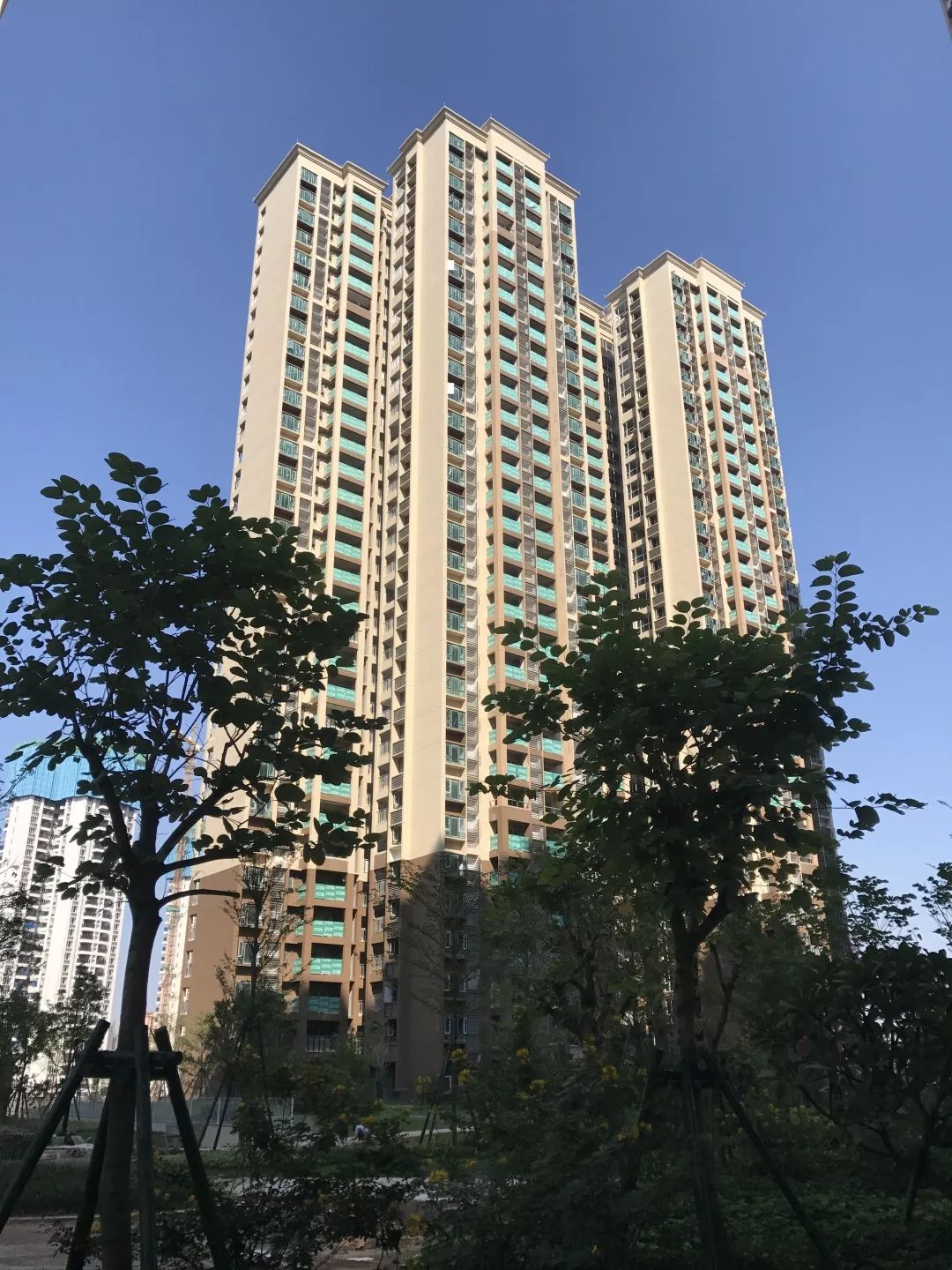 159栋室内批量装修中园林已完成96%河源雅居乐御宾府御宾府组团1栋2