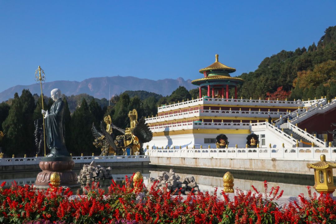 品菊赏秋,遵化这个地方正当时!_万佛园