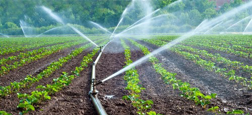 滴灌智能控制系统节水智能效益高_灌溉