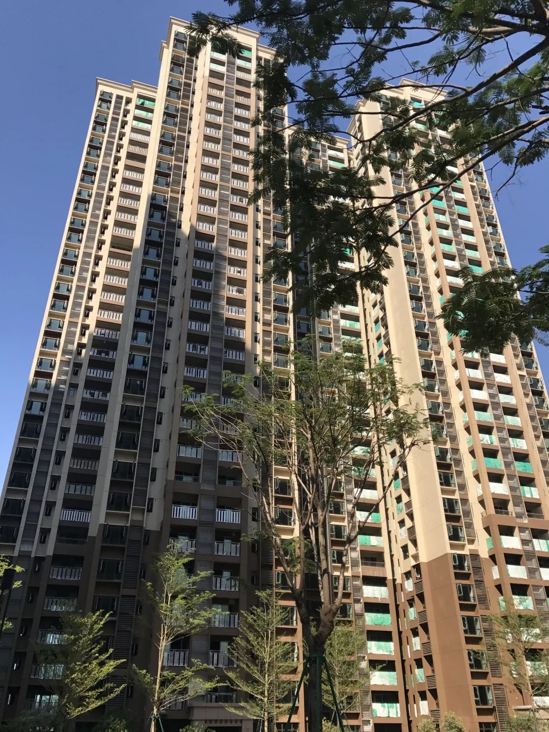 159栋室内批量装修中园林已完成96%河源雅居乐御宾府御宾府组团1栋2