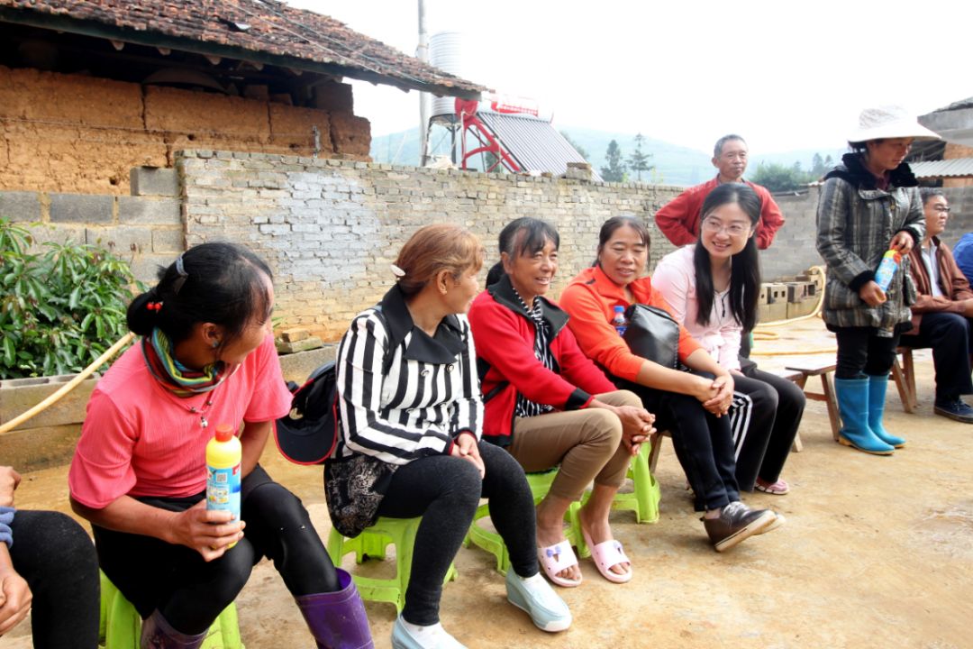 这群人让蒙自77万户农村家庭变了模样