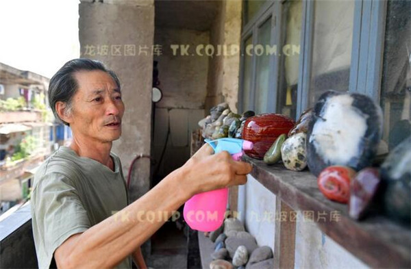 重庆65岁捡石人刘明根踏寻千万里缘来石你