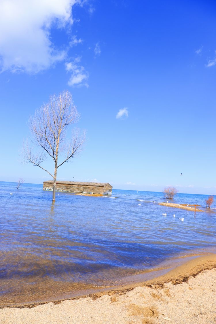 天蓝蓝,湖蓝蓝,大美青海湖!_风景区
