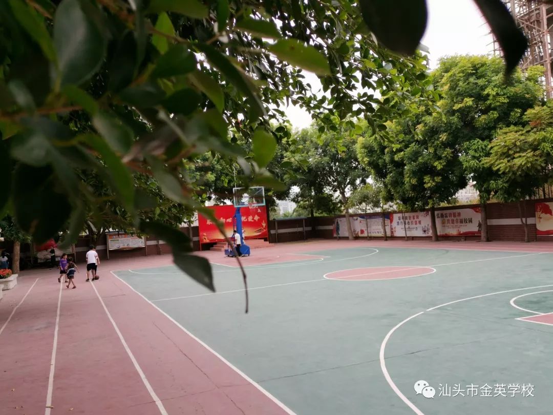 创建国家森林城市,共建绿色校园——金英学校_汕头