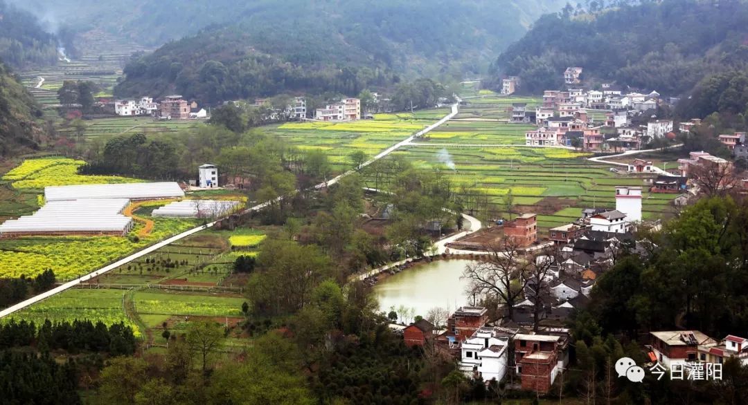 乡镇动态新圩镇摘旧迎新建成镇美民富新型城镇