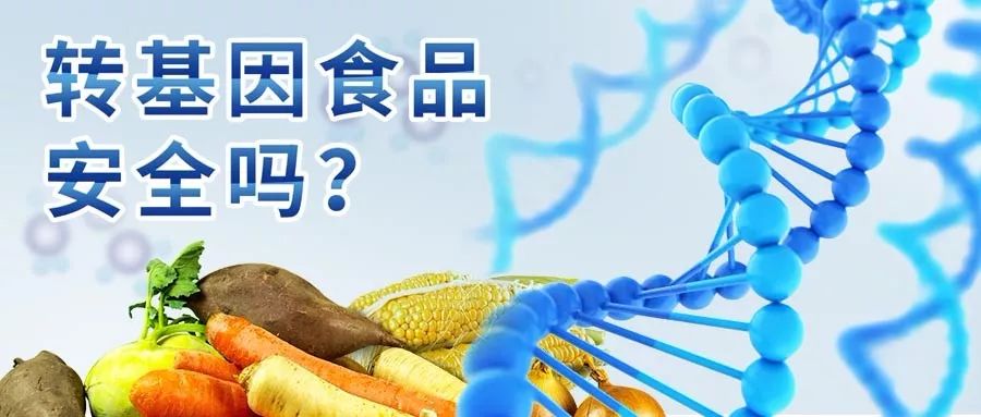 科普大讲堂免费报名转基因食品真的安全吗你真的了解它吗