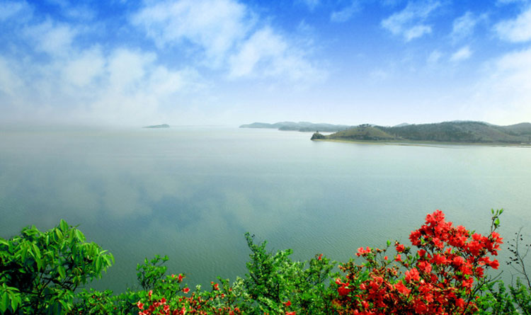 鄱阳湖哪个景点最好玩图片