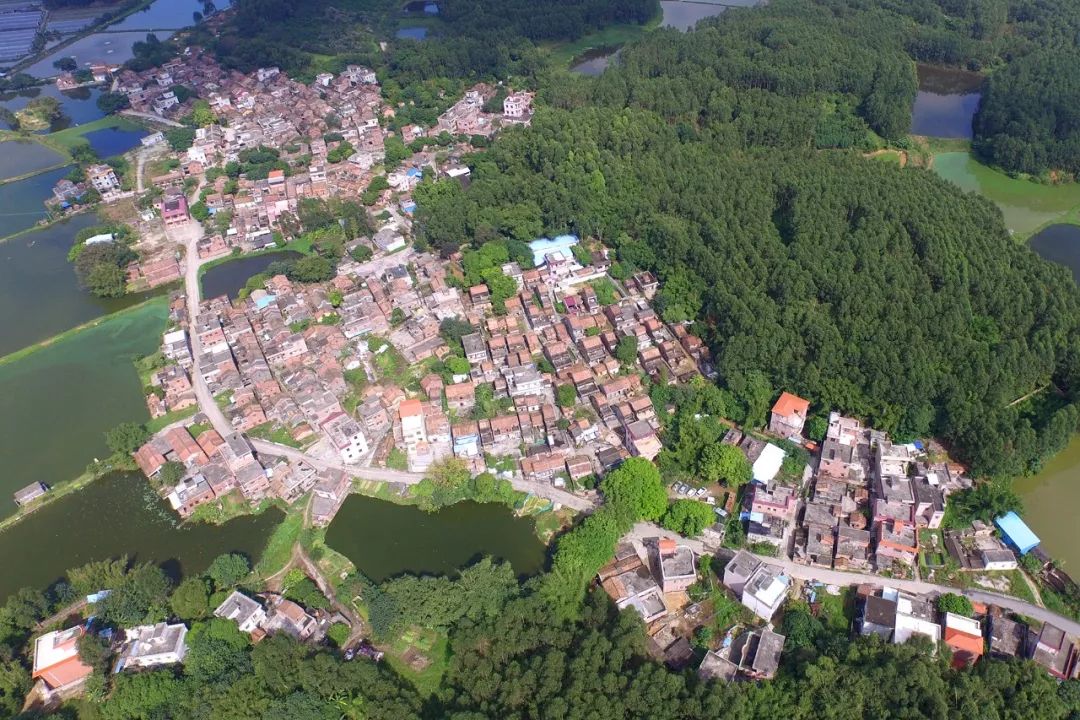 杨和镇石水横坑二四队,河西下山坑村,清泰屋边李家村,清泰第村村,岗水