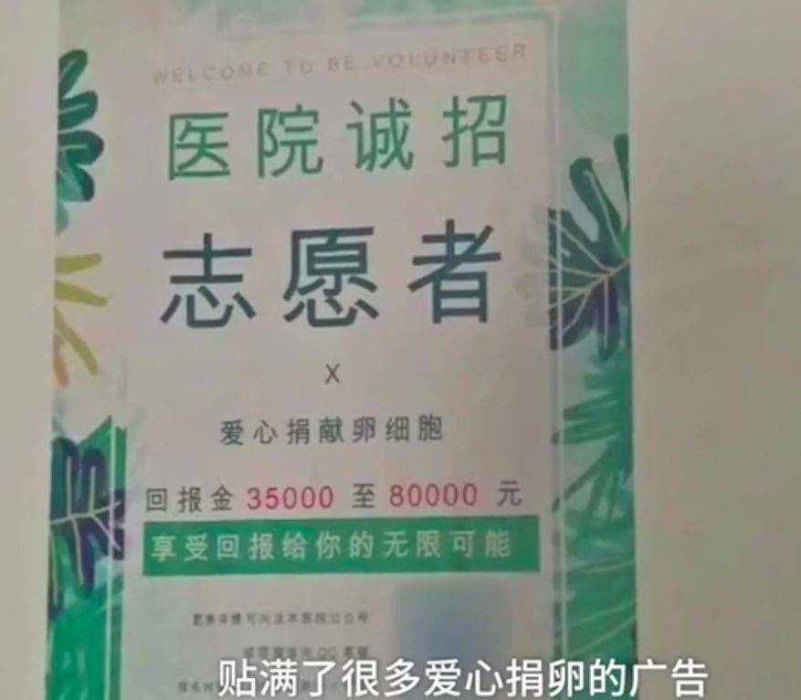 上海一所高校的学生发现,只要一低头,就能在教室抽屉里看到捐卵小广告