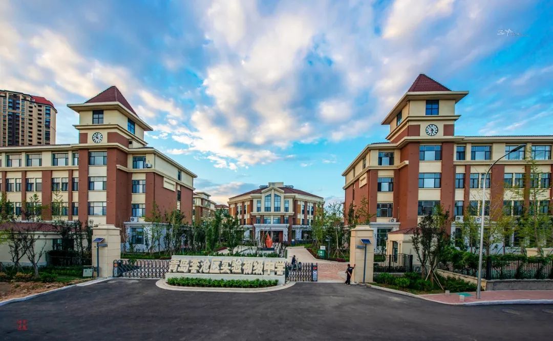 针对学生午餐问题,加快打造标准化食堂,2019年底实现全区学校标准化