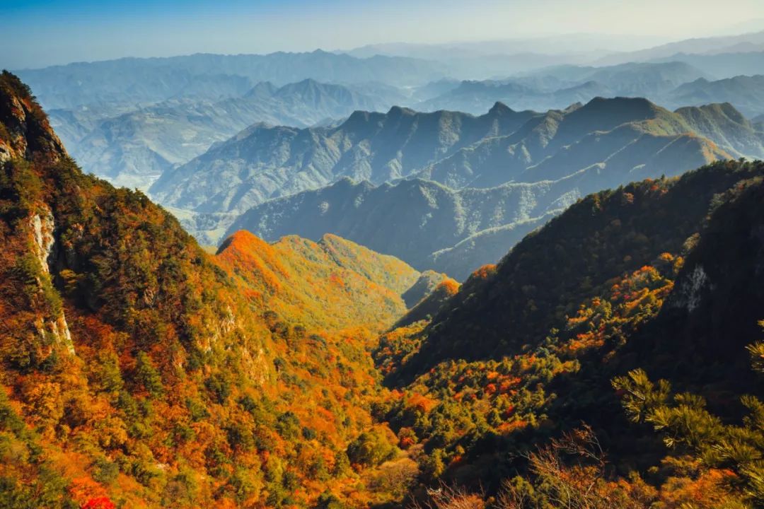 震撼秦岭红叶看山阳错过这里你将错过整个秋天