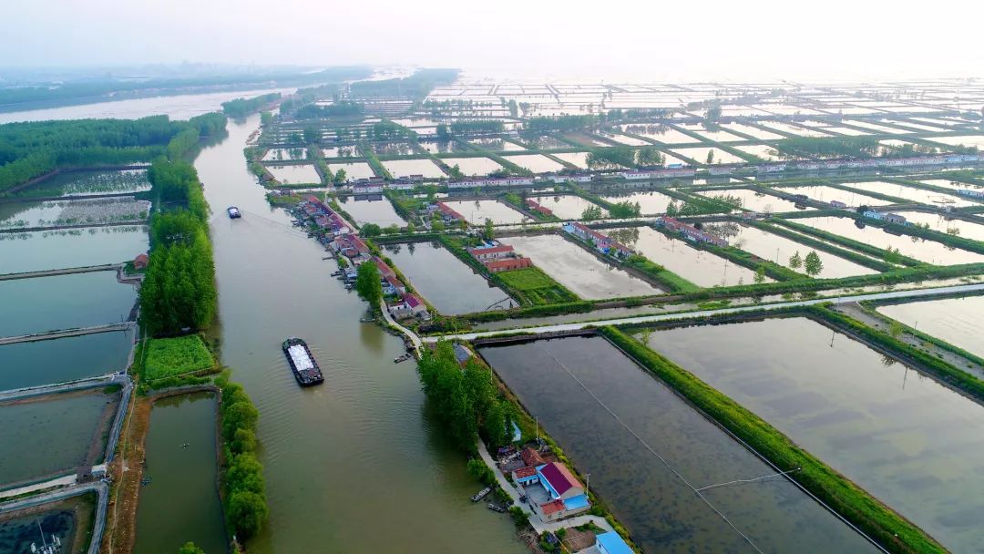 淮安市洪泽区西顺河镇位于景色秀丽的洪泽湖畔,三面环水,水陆交通便捷