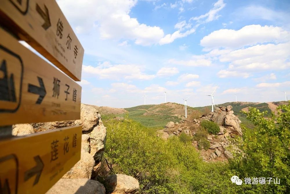 招聘啦!齐齐哈尔市圣金旅游发展有限公司招聘啦!_碾子山区