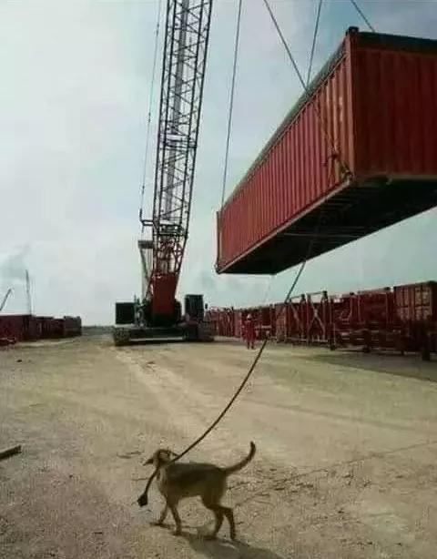 吊车太难开了,这些事故让人哭笑不得,安全在哪里?