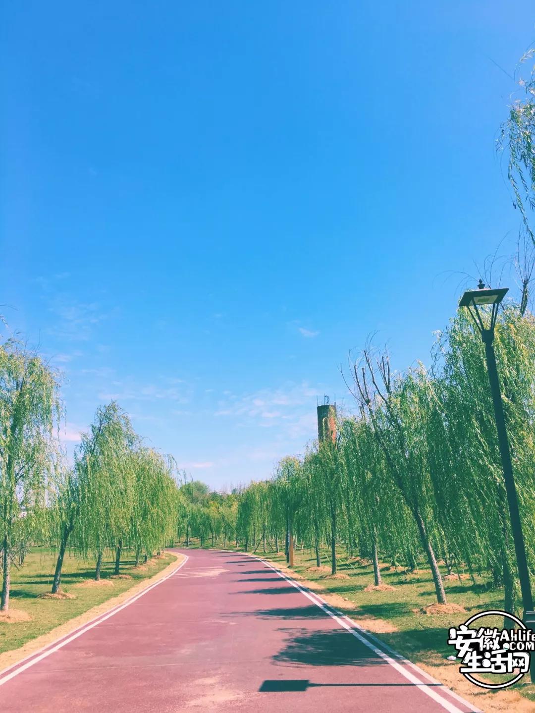 园内转角又是风景▼北雁湖北岸▼//记忆中的北雁湖