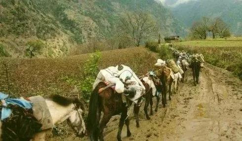 往下看不得命在天上阿城溜索丨方言小说荐