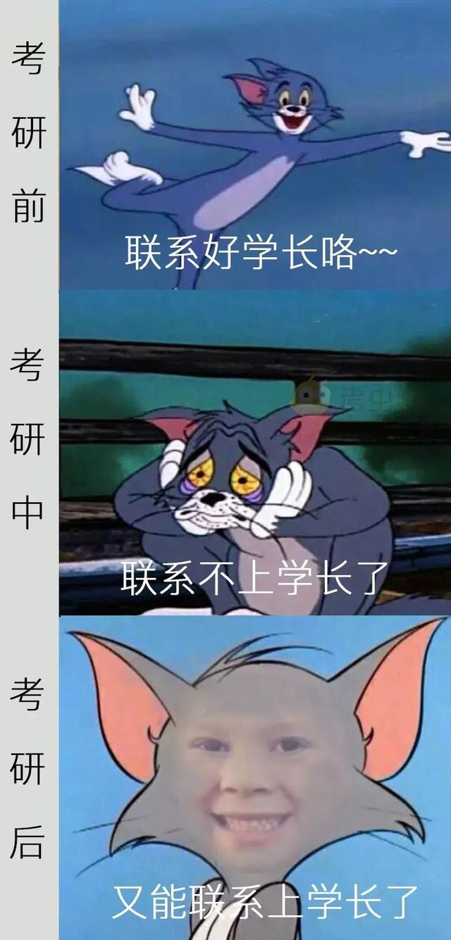 tom猫神表情为你解说考研前考研中考研后太形象了有木有