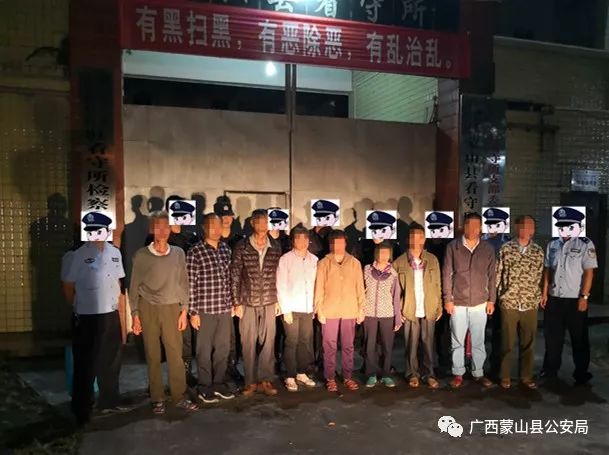 八角你都偷?蒙山10名八角偷盗嫌疑人被抓