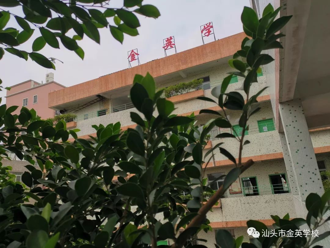 创建国家森林城市共建绿色校园金英学校