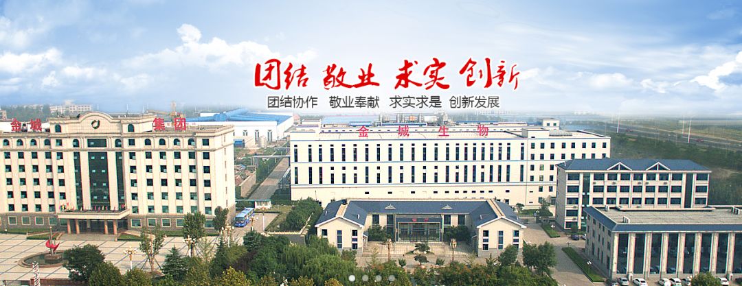 同学企业淄博金城实业股份有限公司