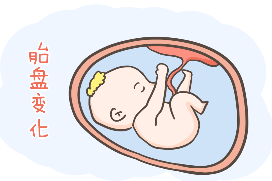 怀孕三个月的时候孕妈和胎儿都会发生哪些变化有一种可要重视
