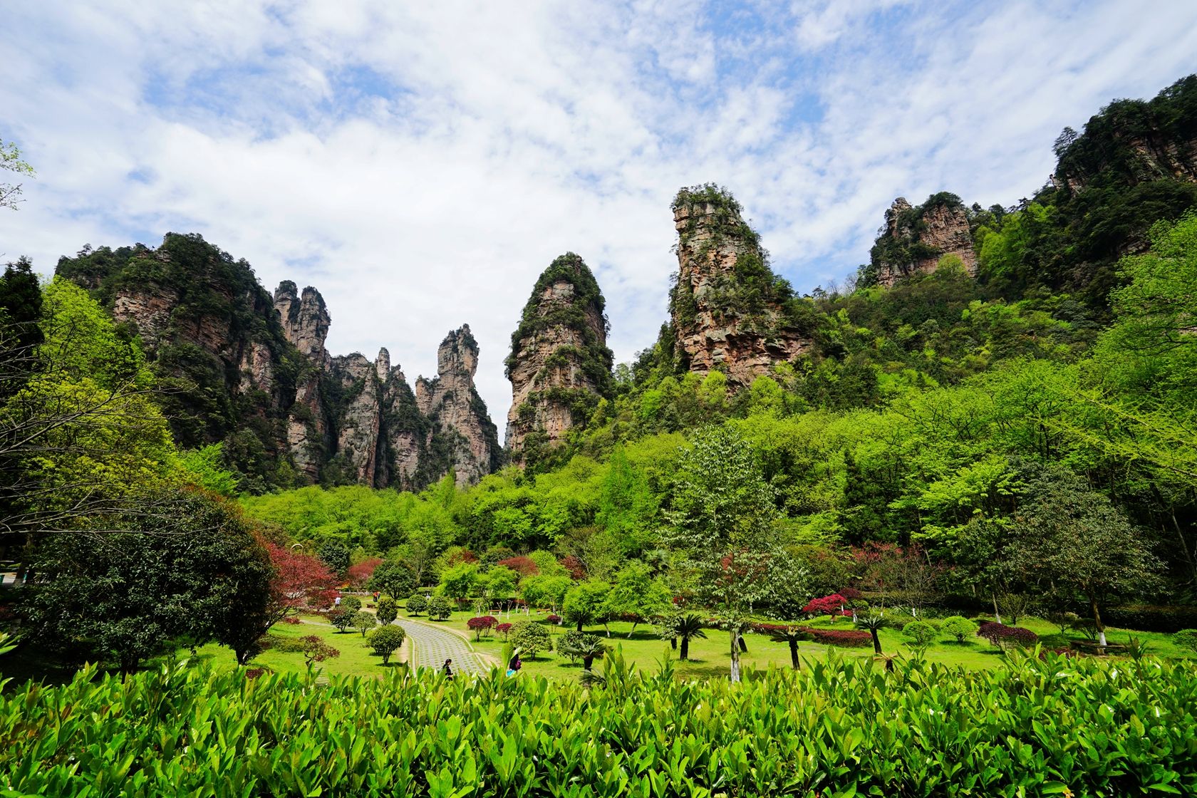 中国旅游景区大全之湖南张家界国家森林公园
