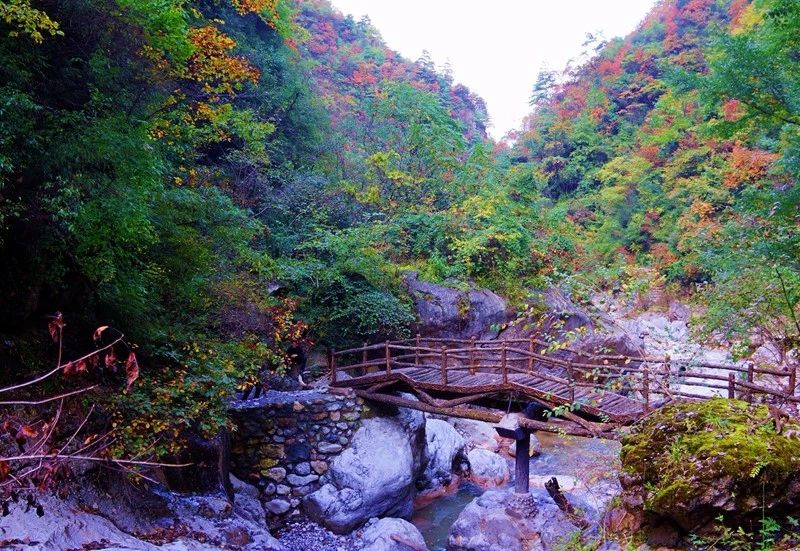 徽县稻坪旅游图片