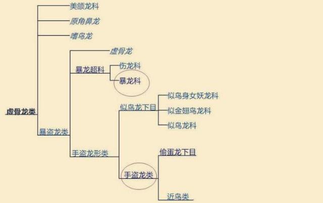 原创鸡到底是不是由霸王龙进化而来答案就在我国科学家发现的化石里