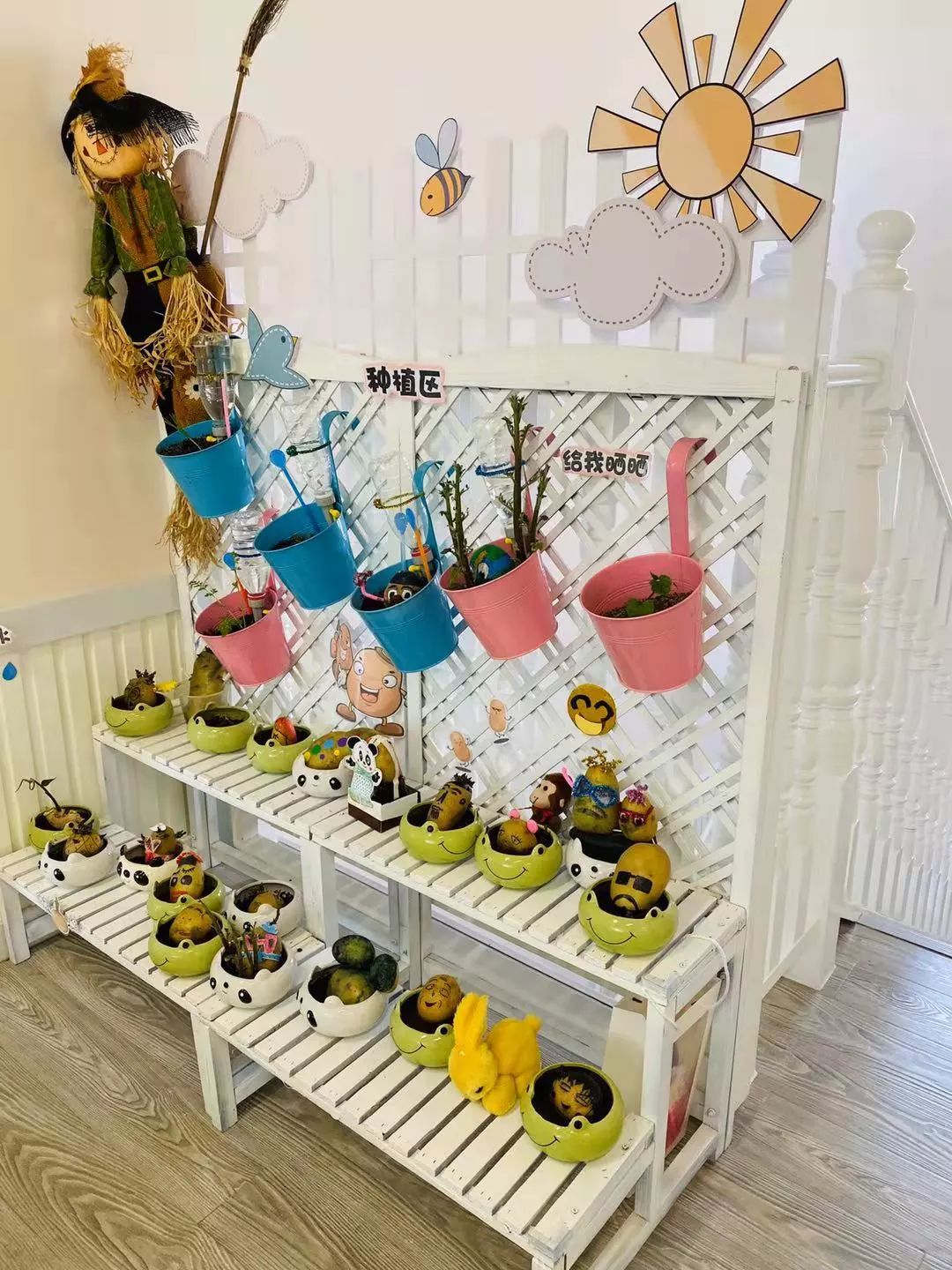 一隅小角遇见美好记杜鹃园幼稚园自然角评比活动