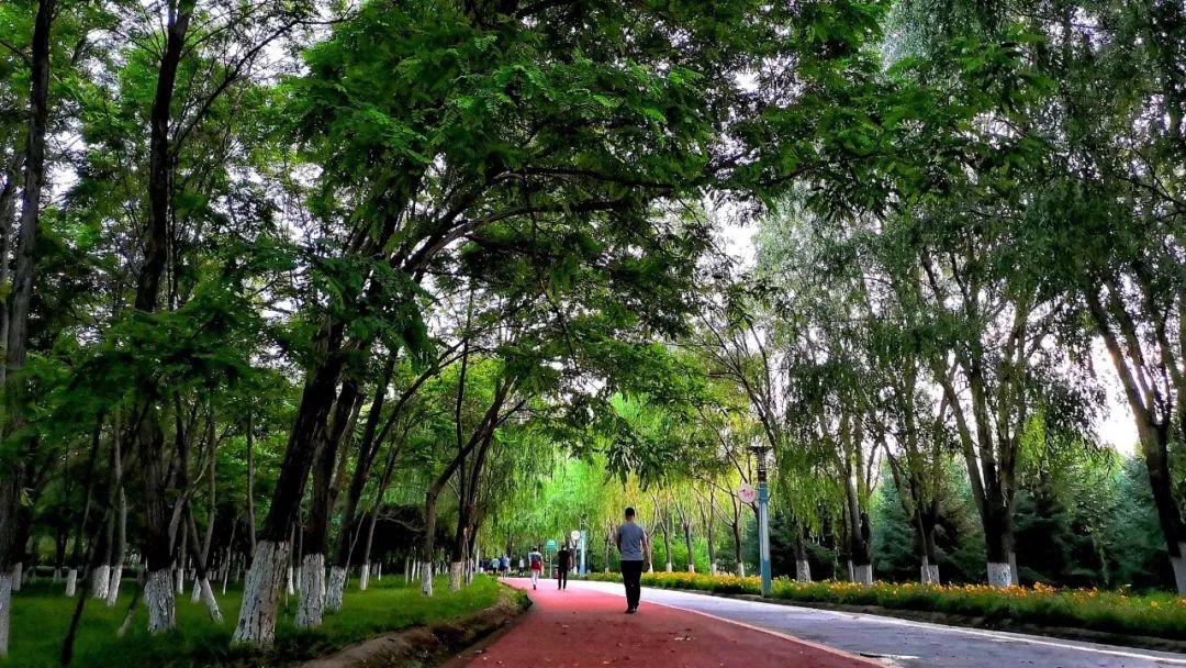 甘肃矿区第三届"最美核城"手机摄影大赛入展作品赏析