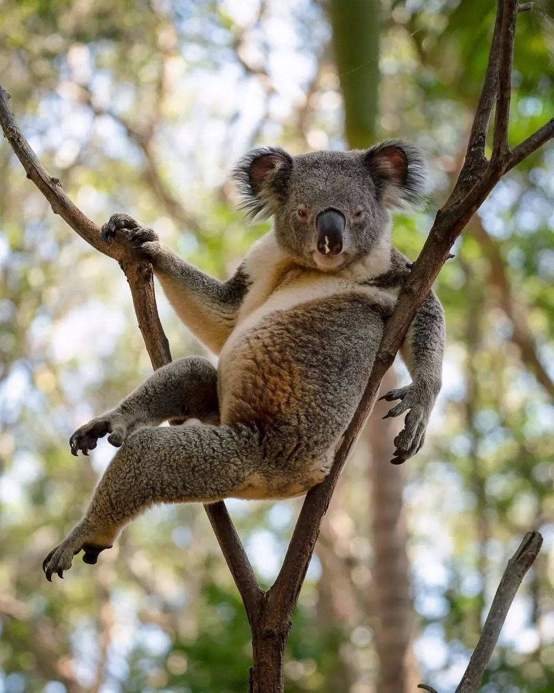 不给糖果我就只好……表演卖萌啦