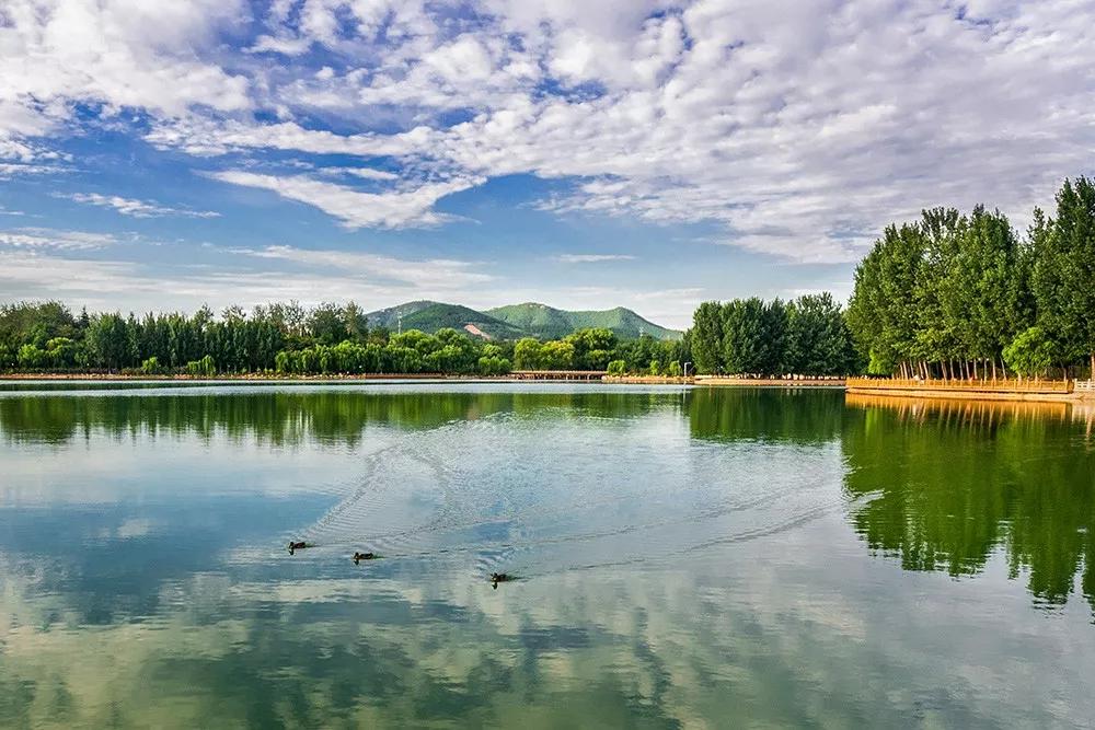沧海桑田南阳湖