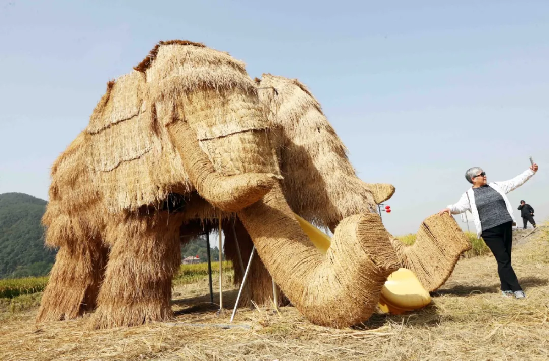 原创稻田艺术稻田农耕稻田音乐稻田美食稻田你想要的稻田都在这里