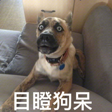 搞笑段子孕妇建了个育儿交流群爆笑剧场