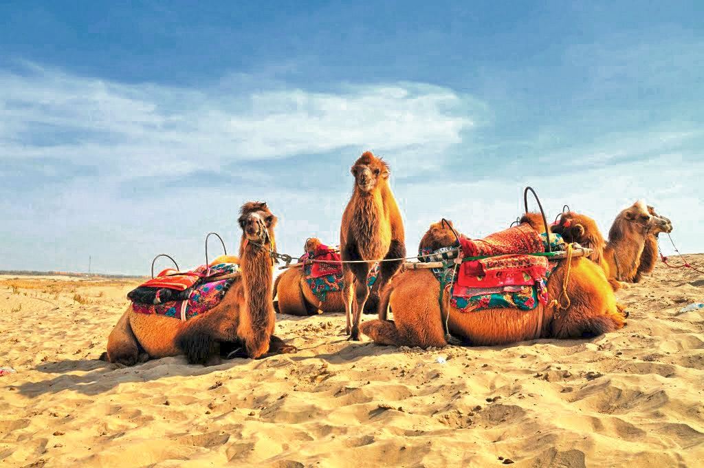 中国旅游景区大全之新疆达瓦昆沙漠旅游风景区