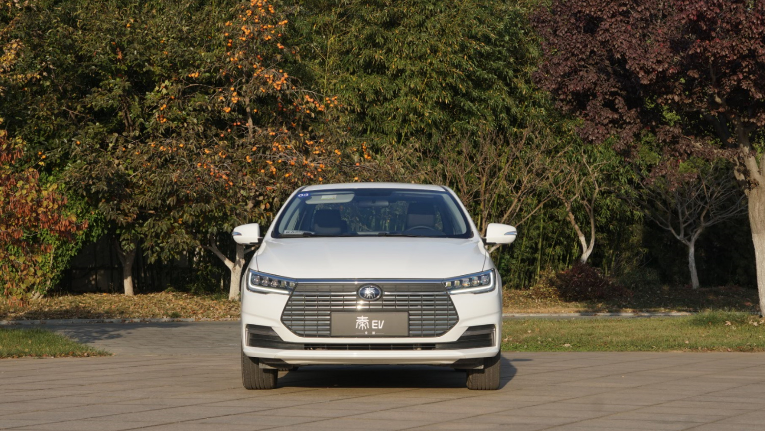 勤俭持家的利器,比亚迪全新秦ev 续航实测超500公里