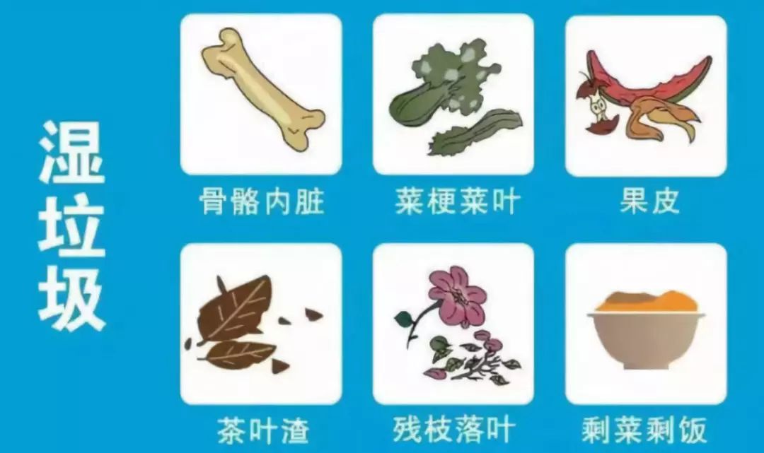 可以考虑集中搬到物业服务中心堆着@roboy6586:树叶属于什么垃圾?