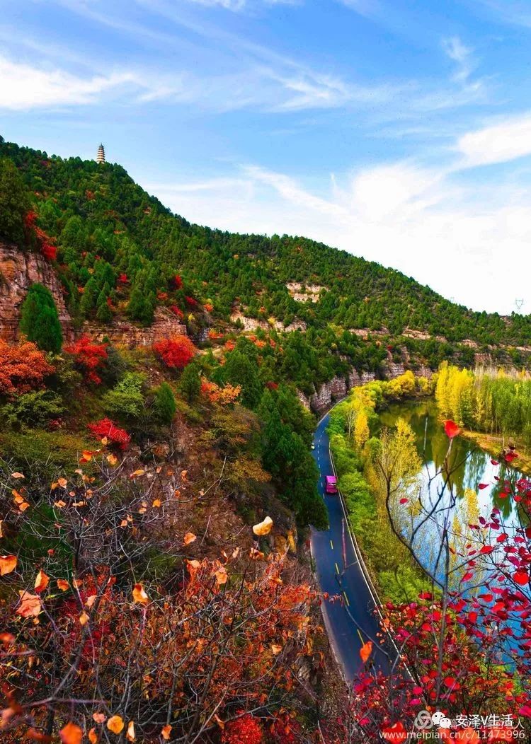 美图美丽安泽秋韵秋路漫山红叶醉人的诗情画意