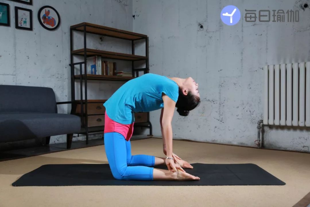 74每日一听瑜伽经典体式弓式