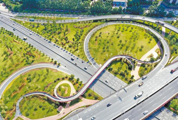 颜值飙升广深公路开创大道立交绿化改造完工