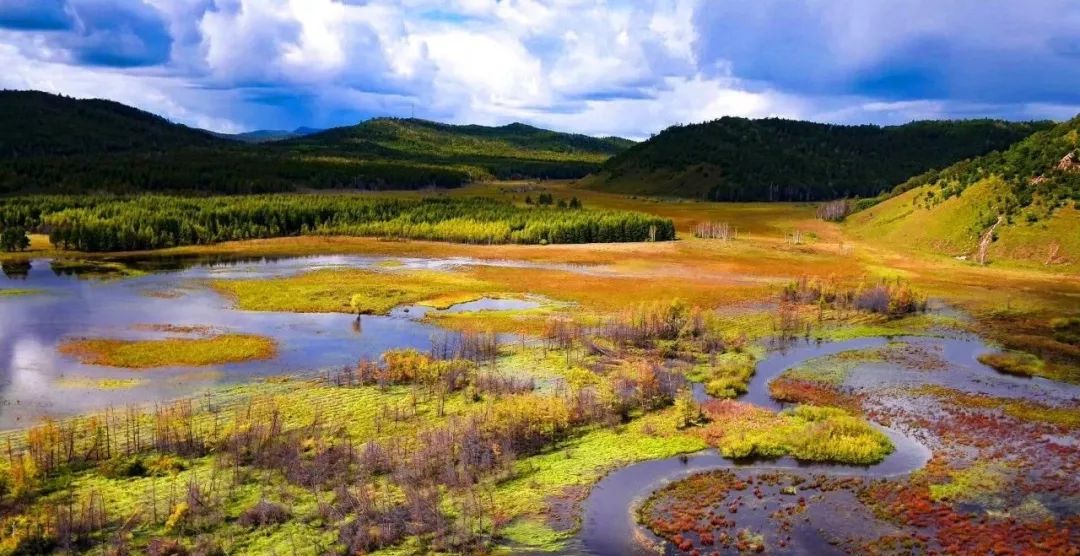 湿地之美:大兴安岭难得一见的自然生态景观