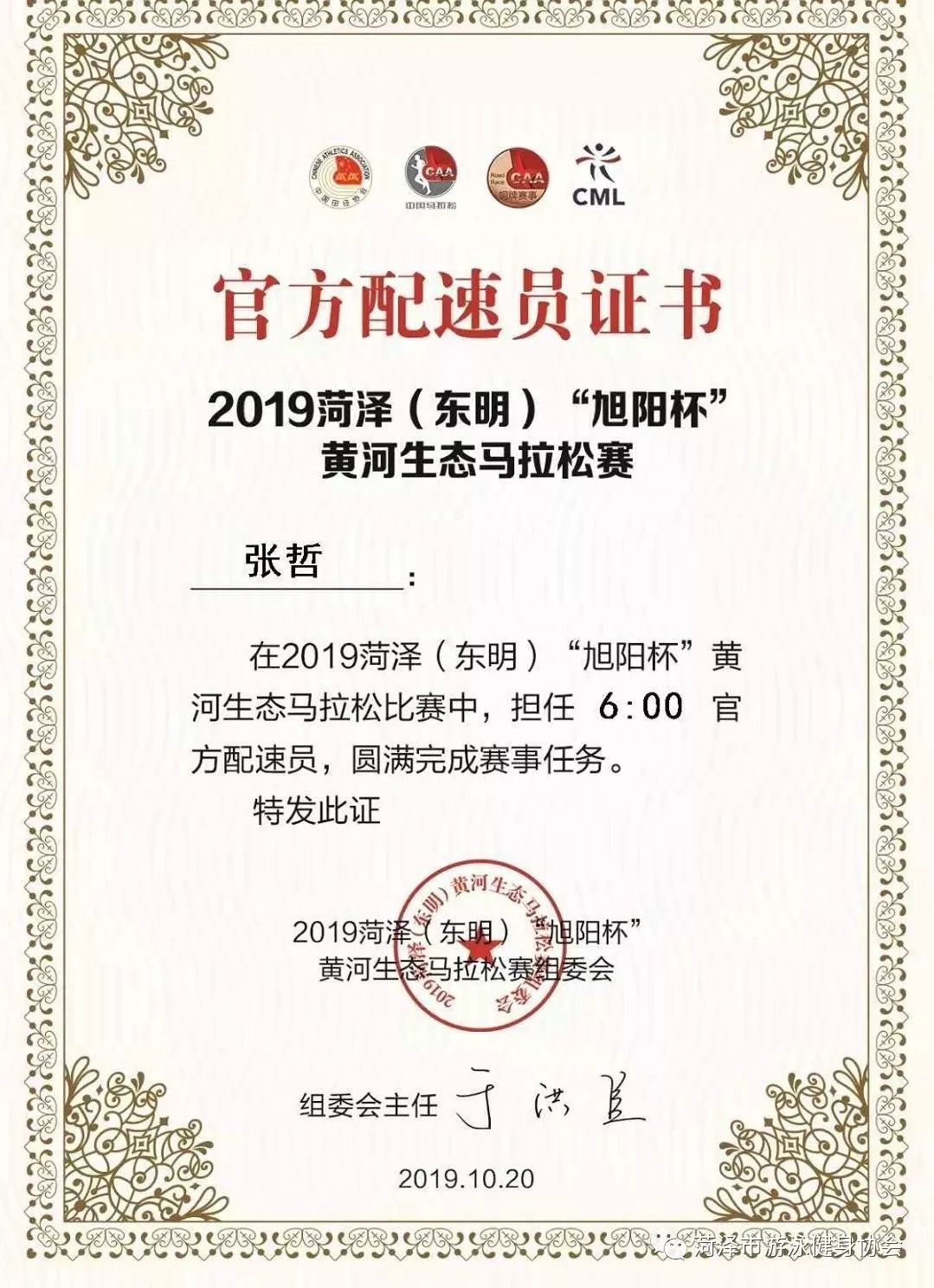 多面手游泳教练员张哲