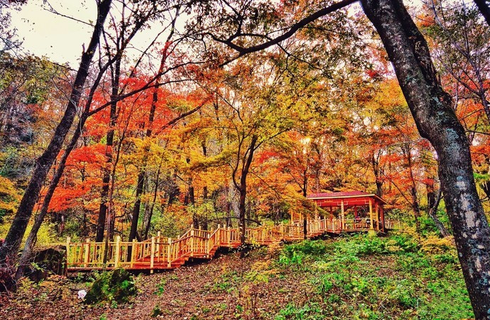 中國旅遊景區大全之黑龍江金龍山國家森林公園