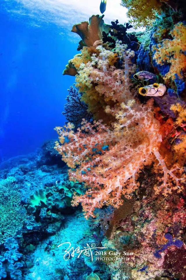 凭借着教科书标准的潜水资源窥探寻宝的海底水晶宫