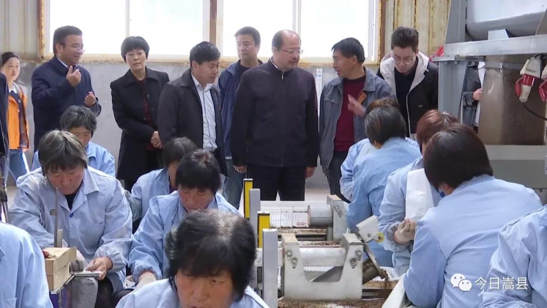 新华社河南分社到嵩县调研