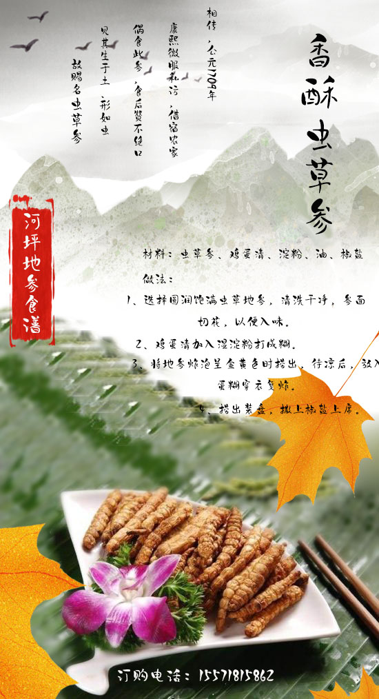 虫草参图片 食用方法图片