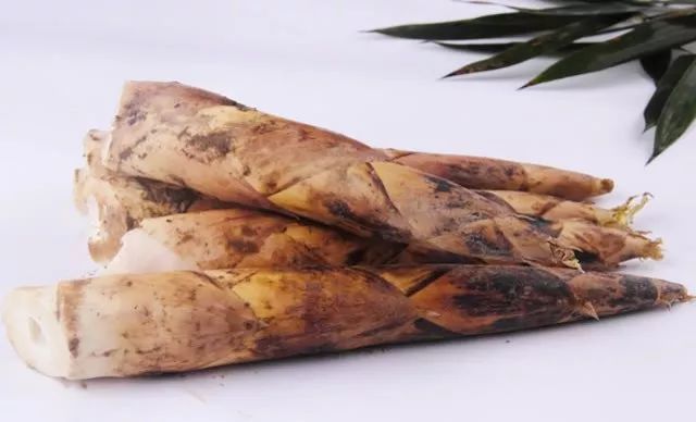 雷笋,学名雷竹笋,又名雷公笋,早园笋,因早春打雷即出笋而得名.