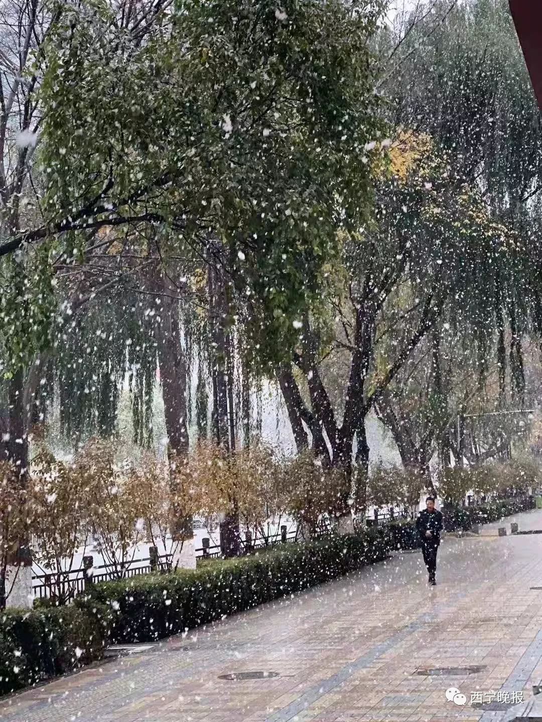 雨夹雪转小雪图片